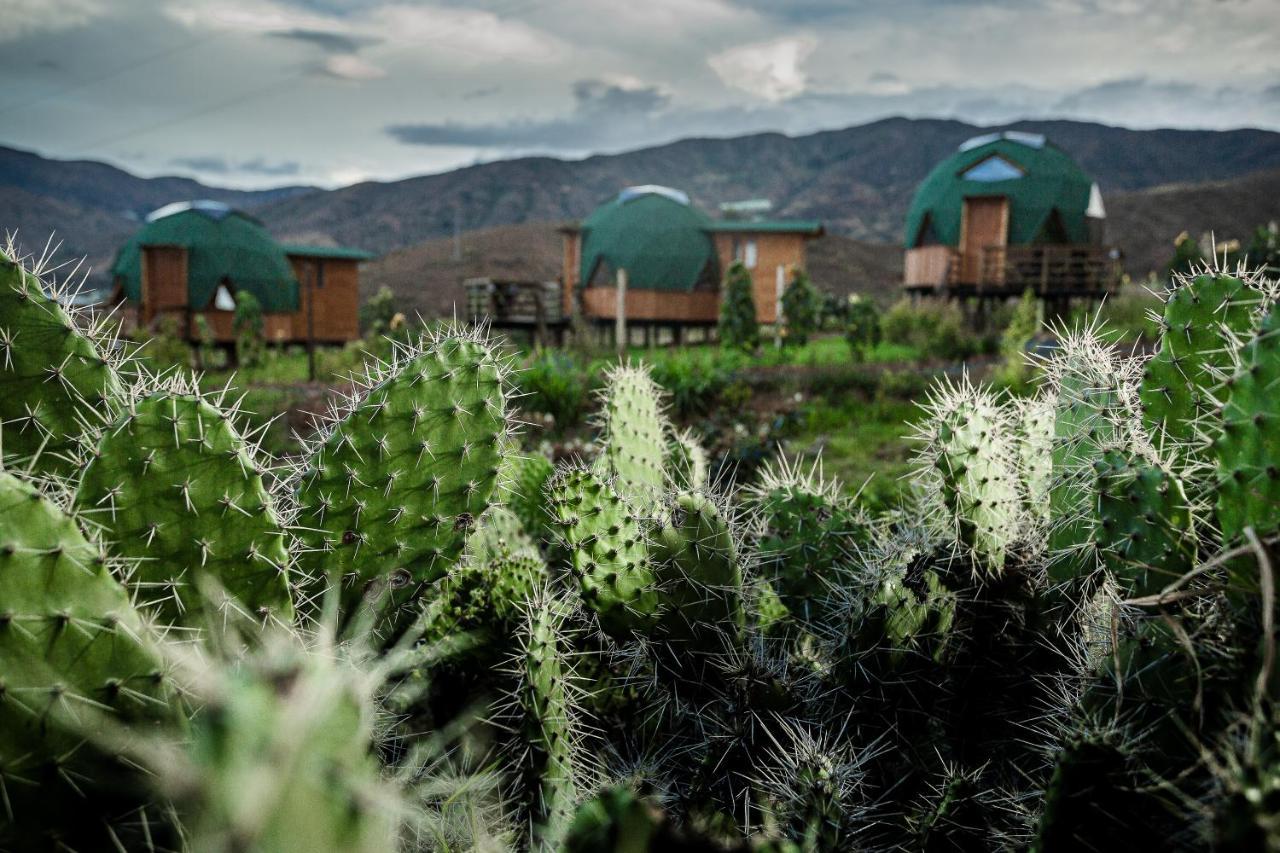 Los Nopales Glamping Sachica Exterior photo